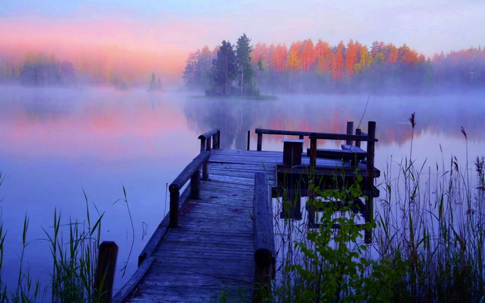 ::::::::LIKE:::::::: - 10119065424010624623332056200245n.jpg